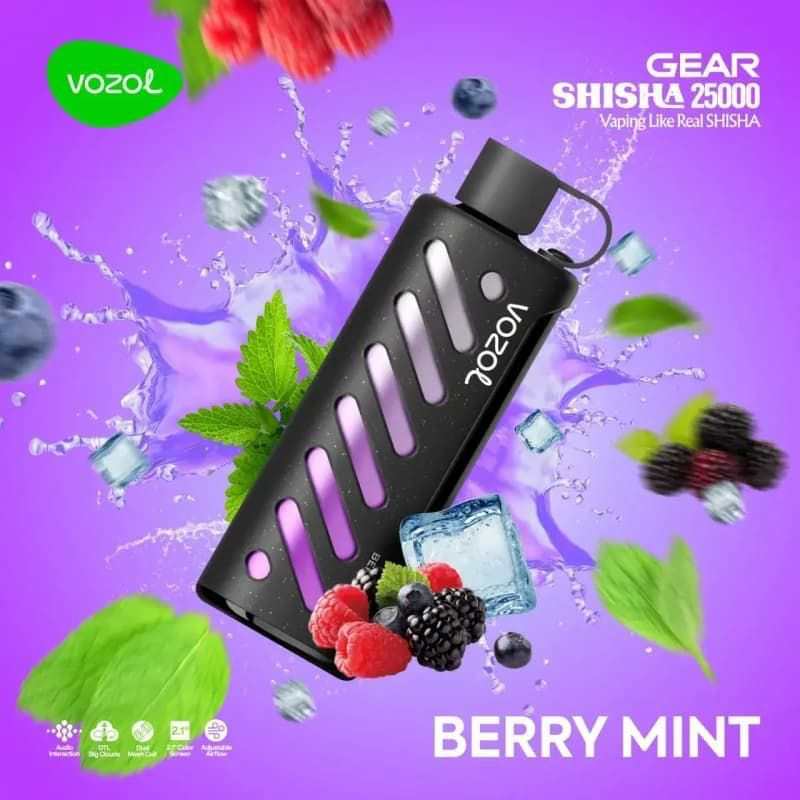 VOZOL GEAR SHISAH 25000 PUFFS BERRY MINT