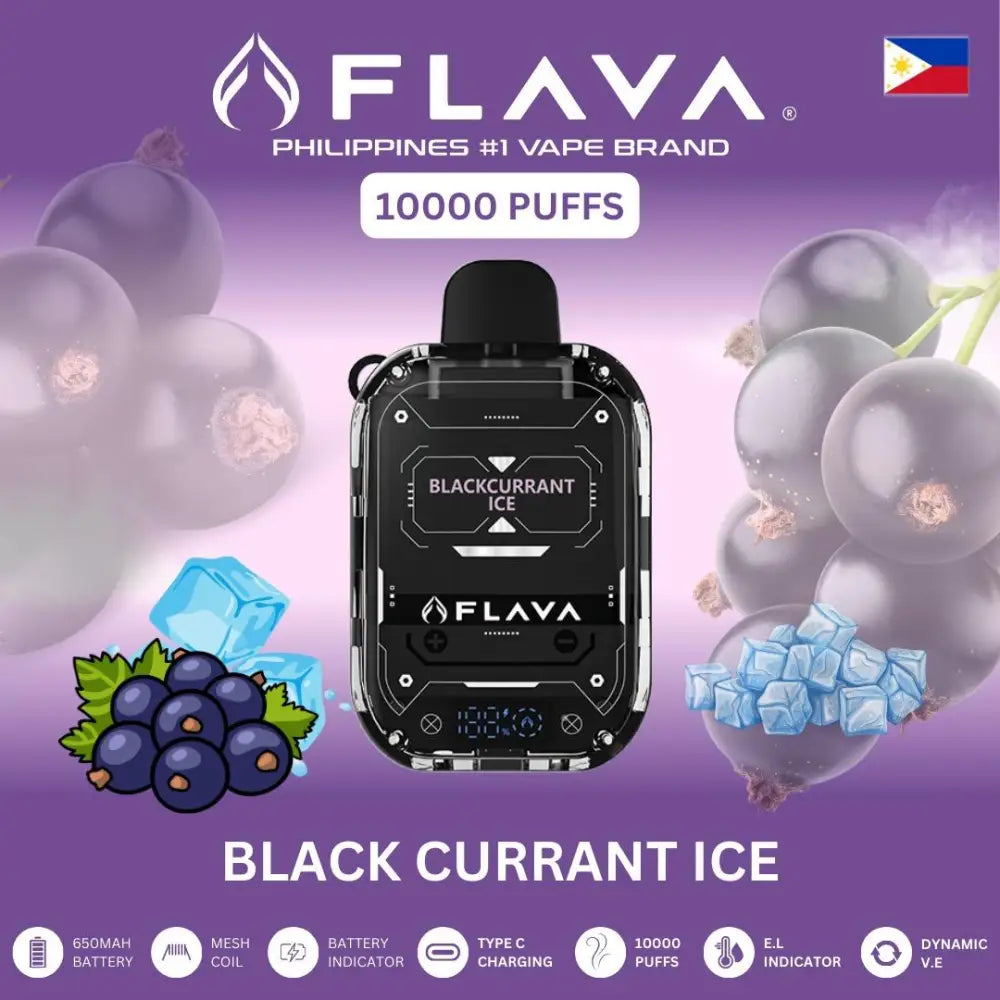 FLAVA vape device with blackcurrant ice flavor on a purple background