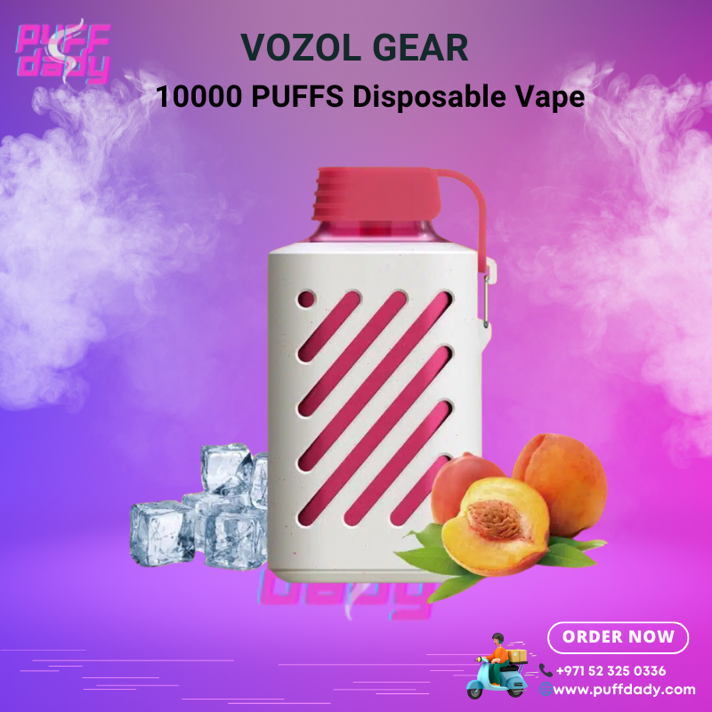 VOZOL GEAR Disposable Vape 