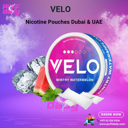 Velo Nicotine Pouches Wintry Watermelon flavor with ice cubes and watermelon slice, tobacco-free and discreet nicotine alternative in Dubai and UAE.