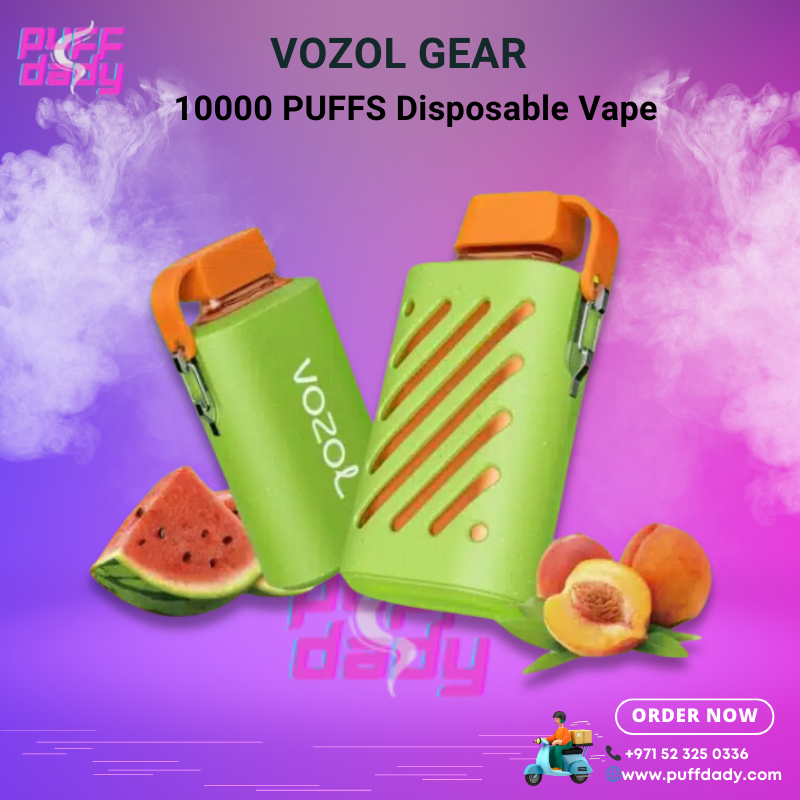 VOZOL GEAR Disposable Vape 