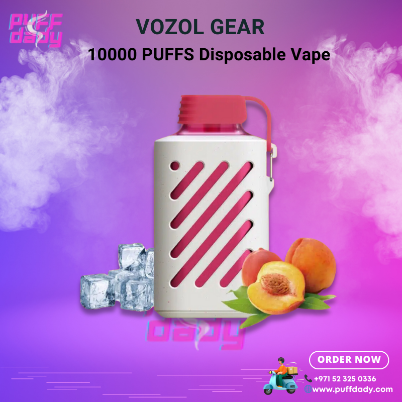 VOZOL GEAR Disposable Vape 