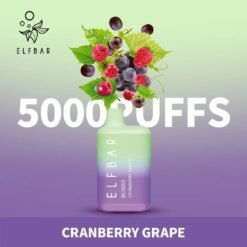 ELFBAR BC 5000 PUFF - Puff Dady VAPE SHOP -  - ELFBAR BC 5000 PUFF - Puff Dady VAPE SHOP -  - ELFBAR BC 5000 PUFF - - #tag1# - #tag2# 