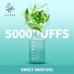 ELFBAR BC 5000 PUFF - Puff Dady VAPE SHOP -  - ELFBAR BC 5000 PUFF - Puff Dady VAPE SHOP -  - ELFBAR BC 5000 PUFF - - #tag1# - #tag2# 