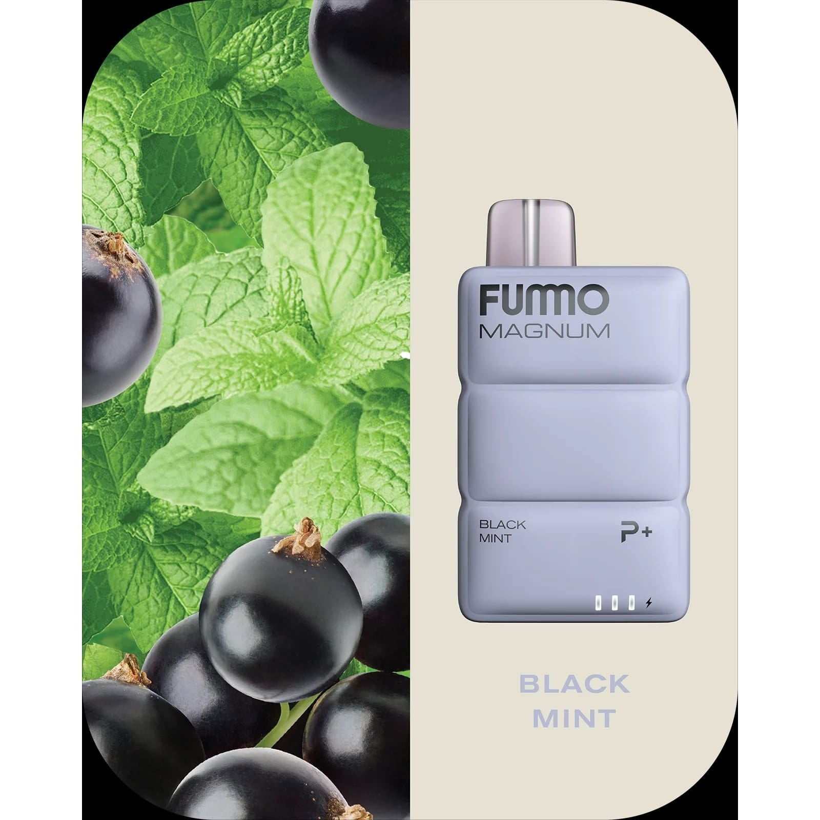 Fummo Magnum 8000 puffs Disposable Vape - Puff Dady VAPE SHOP -  - Fummo Magnum 8000 puffs Disposable Vape - Puff Dady VAPE SHOP -  - Fummo Magnum 8000 puffs RECHARGEABLE DISPOSABLE - - #tag1# - #tag2# 